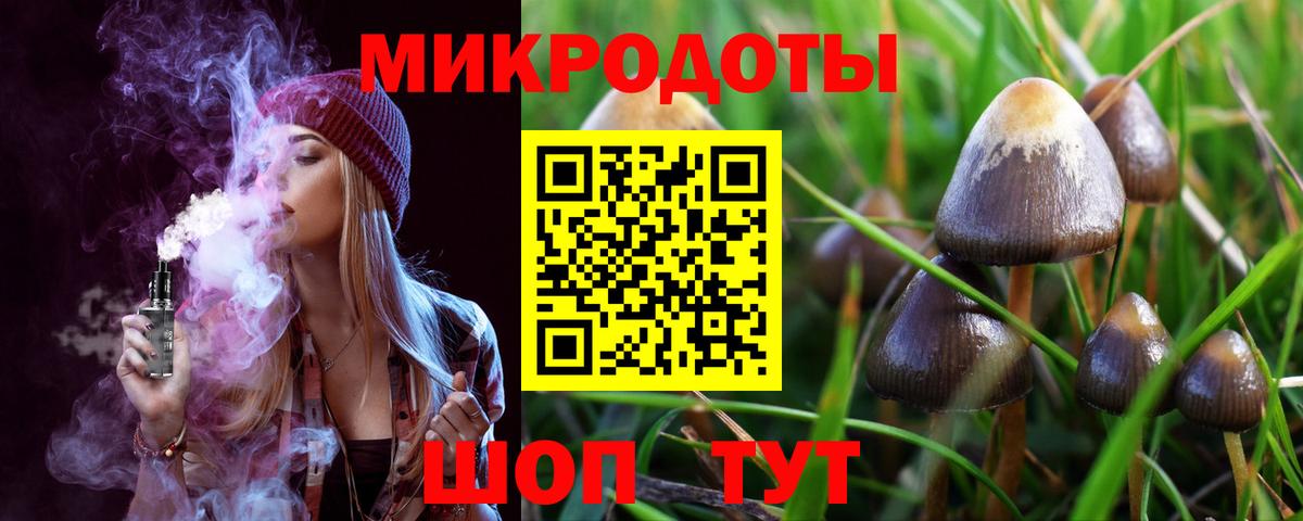 Галлюциногенные грибы Cubensis  Вход с VPN  Азов  Псилоцибиновые грибы Psilocybe 
